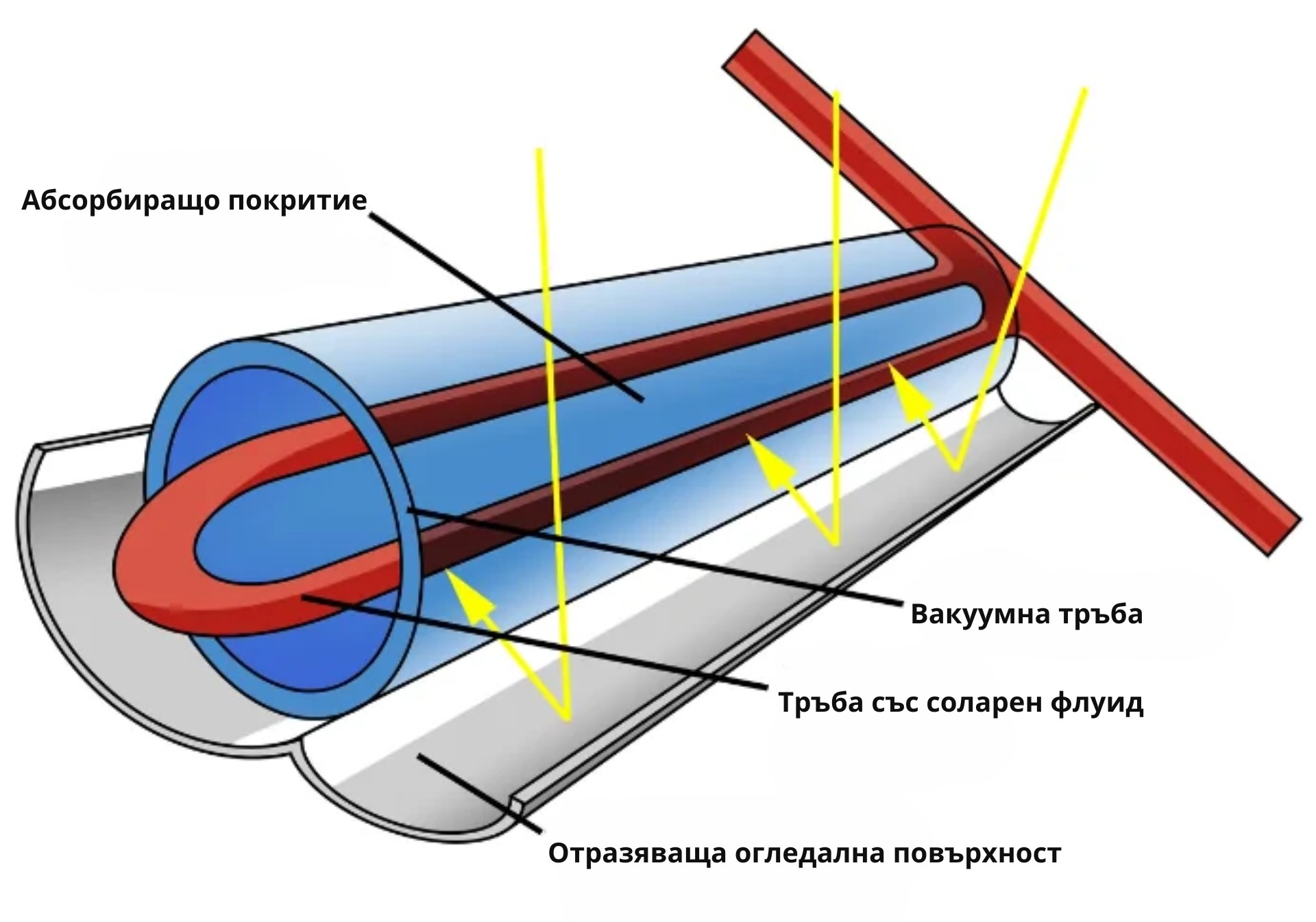 Shematichna-struktura-na-traben-kolektor-sastoyasht-se-ot-absorbirashto-pokritie-vakuumna-traba-traba-sas-solaren-fluid-i-otrazyavashta-ogledalna-povarhnost